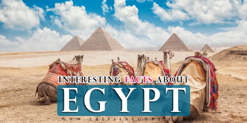 Egypt Facts - Egypt History - Egypt Information - Egypt Tourism - Egypt ...