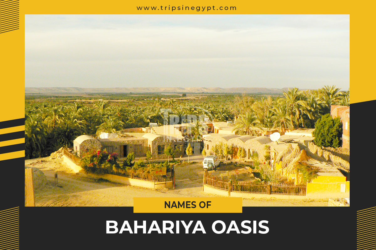 Bahariya Oasis Facts & Weather - Bahariya Attractions & Location ...