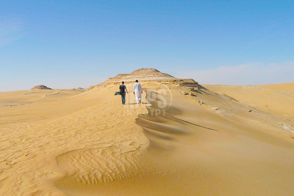 From Oases to Dunes: The Allure of Siwa's Desert Escapades - Wellness and Relaxation in Siwa