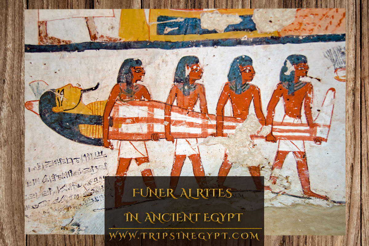 Ancient Egyptian Mummification: Process, Facts & Beliefs